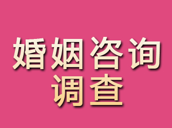 安岳婚姻咨询调查