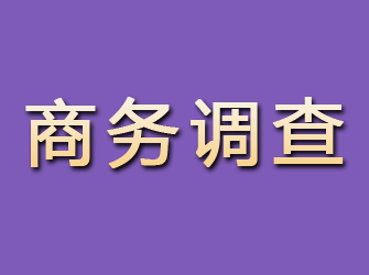 安岳商务调查