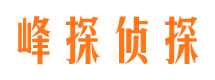 安岳找人公司